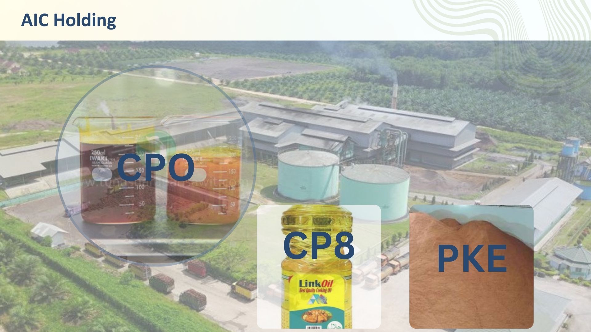 PALM OIL & DERIVATIVES